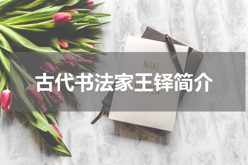 古代书法家王铎简介