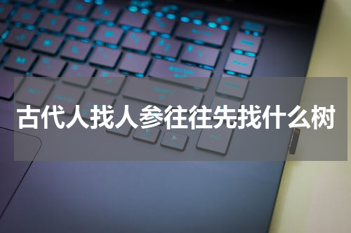 古代人找人参往往先找什么树