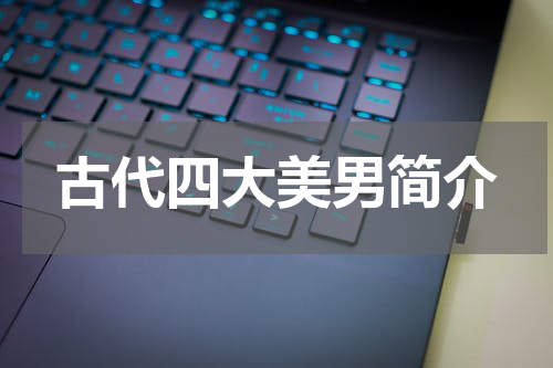 古代四大美男简介