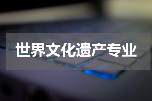 世界文化遗产专业