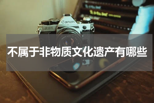 不属于非物质文化遗产有哪些
