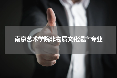 南京艺术学院非物质文化遗产专业