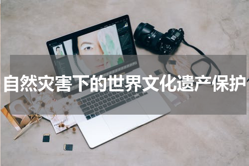 自然灾害下的世界文化遗产保护