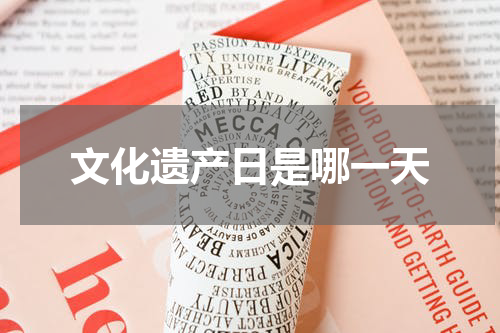 文化遗产日是哪一天