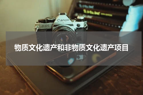 物质文化遗产和非物质文化遗产项目