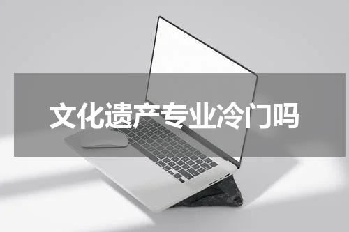 文化遗产专业冷门吗