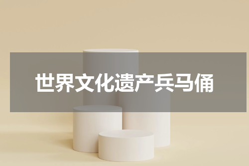 世界文化遗产兵马俑