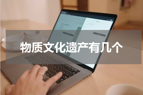 物质文化遗产有几个