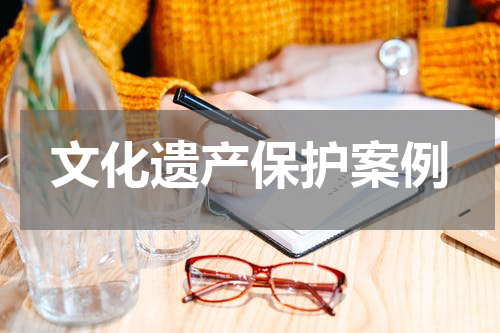 文化遗产保护案例