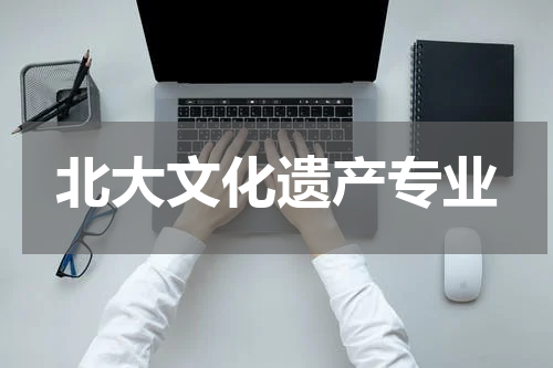 北大文化遗产专业