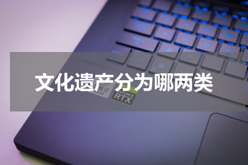 文化遗产分为哪两类