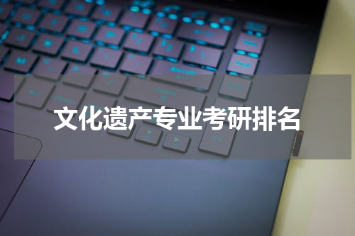 文化遗产专业考研排名