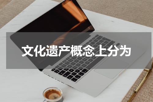文化遗产概念上分为