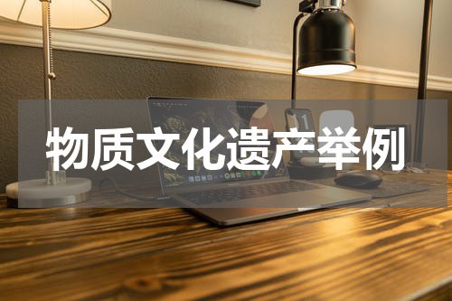 物质文化遗产举例