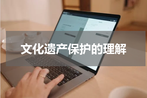 文化遗产保护的理解