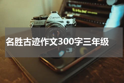名胜古迹作文300字三年级