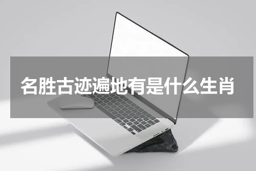 名胜古迹遍地有是什么生肖