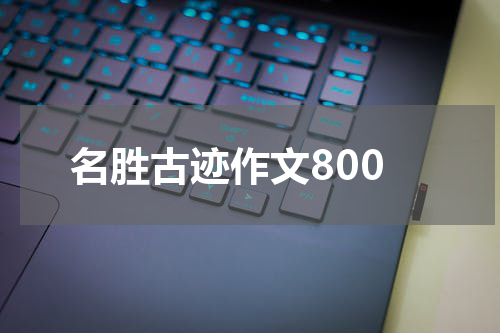 名胜古迹作文800