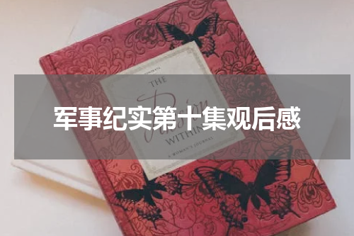 军事纪实第十集观后感