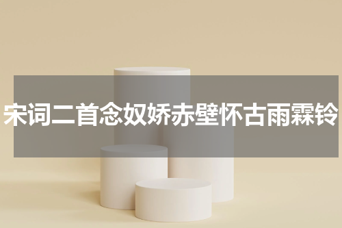 宋词二首念奴娇赤壁怀古雨霖铃