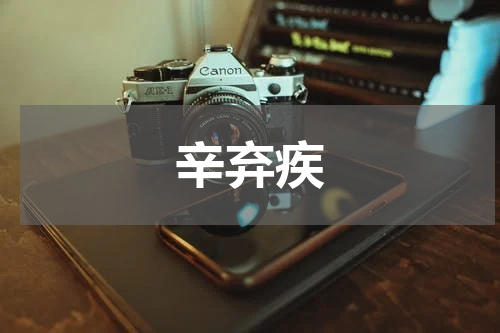 辛弃疾