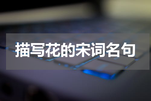 描写花的宋词名句