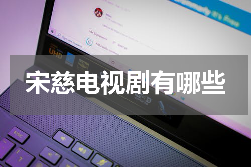 宋慈电视剧有哪些