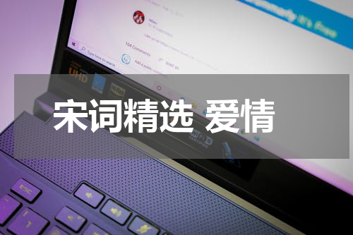 宋词精选 爱情
