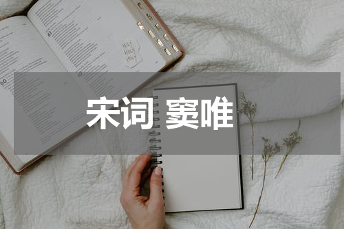 宋词 窦唯