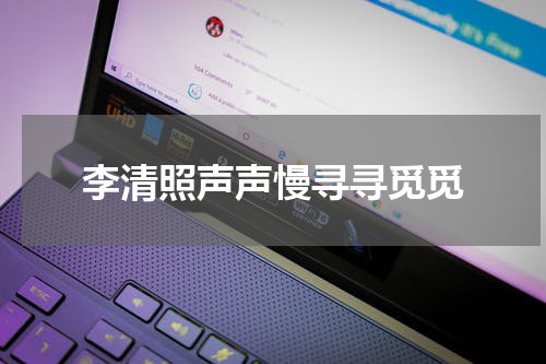 李清照声声慢寻寻觅觅
