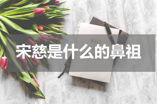 宋慈是什么的鼻祖