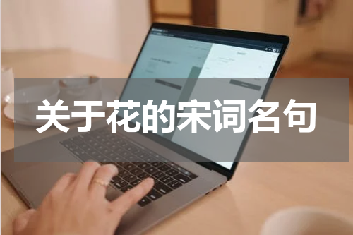 关于花的宋词名句
