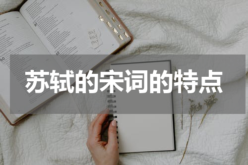 苏轼的宋词的特点
