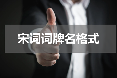 宋词词牌名格式