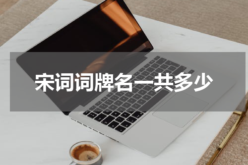 宋词词牌名一共多少
