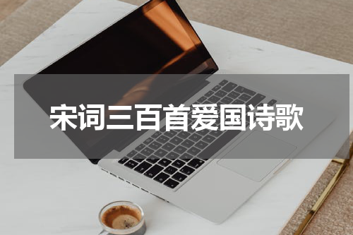 宋词三百首爱国诗歌