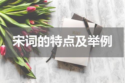 宋词的特点及举例