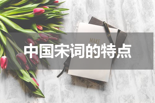 中国宋词的特点
