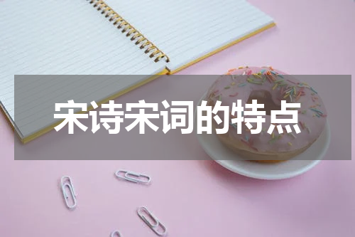 宋诗宋词的特点