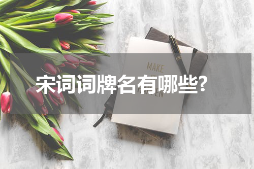 宋词词牌名有哪些?