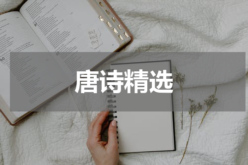 唐诗精选