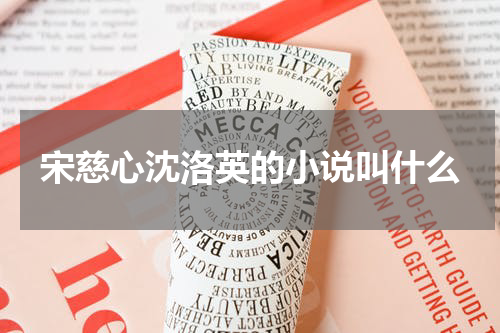 宋慈心沈洛英的小说叫什么