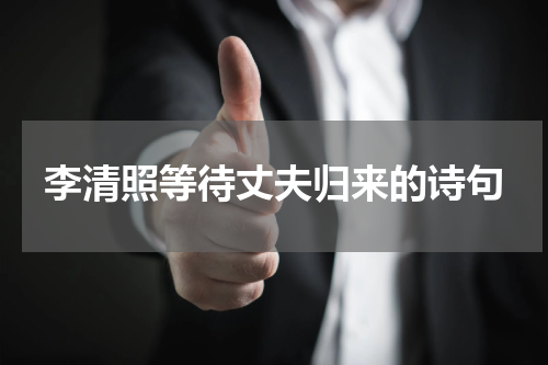 李清照等待丈夫归来的诗句