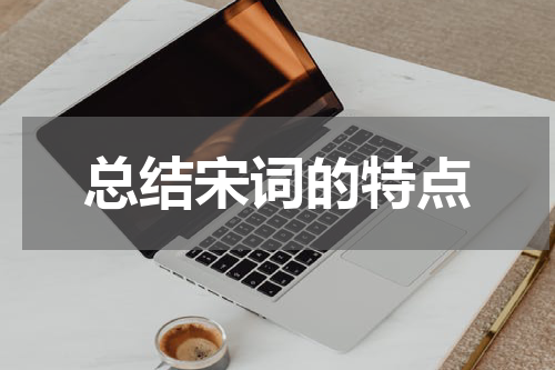 总结宋词的特点