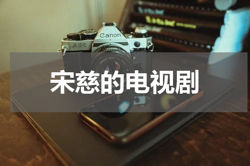 宋慈的电视剧