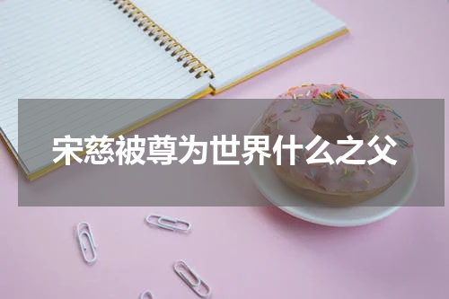 宋慈被尊为世界什么之父