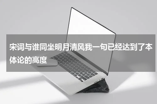 宋词与谁同坐明月清风我一句已经达到了本体论的高度