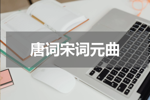 唐词宋词元曲