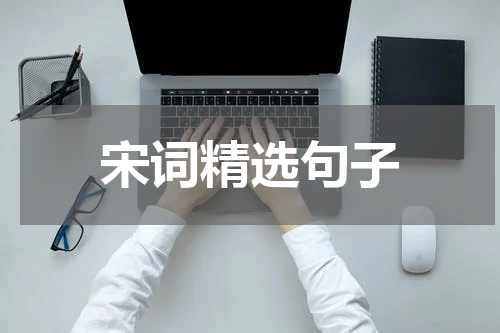 宋词精选句子