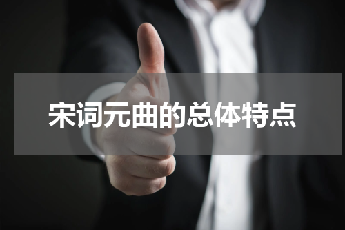 宋词元曲的总体特点